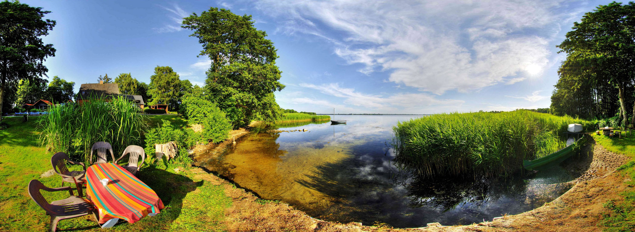 Круговая панорама цветы